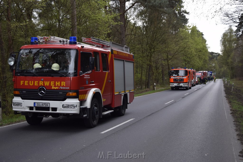 Waldbrand Wahner Heide Troisdorf Eisenweg P257.JPG - Miklos Laubert